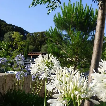 Appartamento Rez De Jardin Dans De Charme ... *