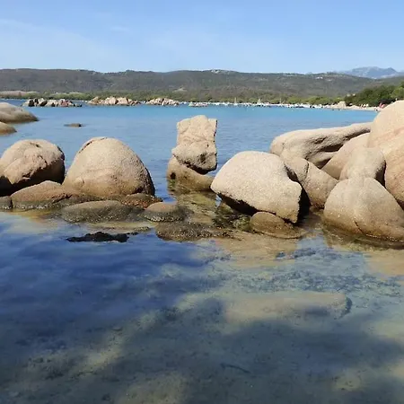 Appartamento Rez De Jardin Dans De Charme ... Porto Vecchio