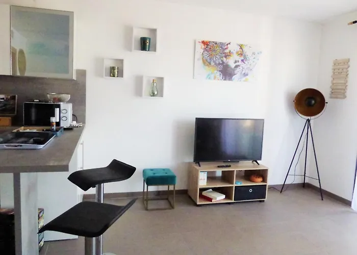 Rez De Jardin Dans Résidence De Charme ... Apartamento