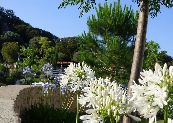 Rez De Jardin Dans De Charme ... ポルトヴェッキオ