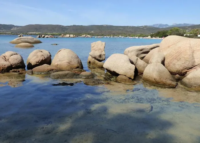 Apartamento Rez De Jardin Dans Résidence De Charme ... Porto Vecchio