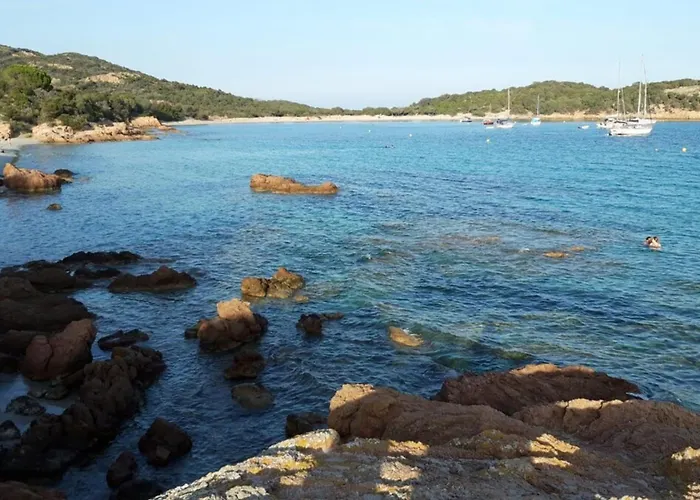 Rez De Jardin Dans Résidence De Charme ... *