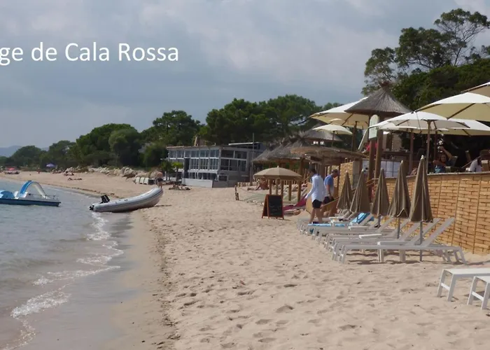 Rez De Jardin Dans Résidence De Charme ... Apartamento