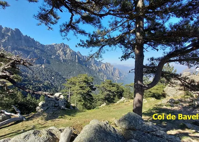 Rez De Jardin Dans De Charme ... アパート *